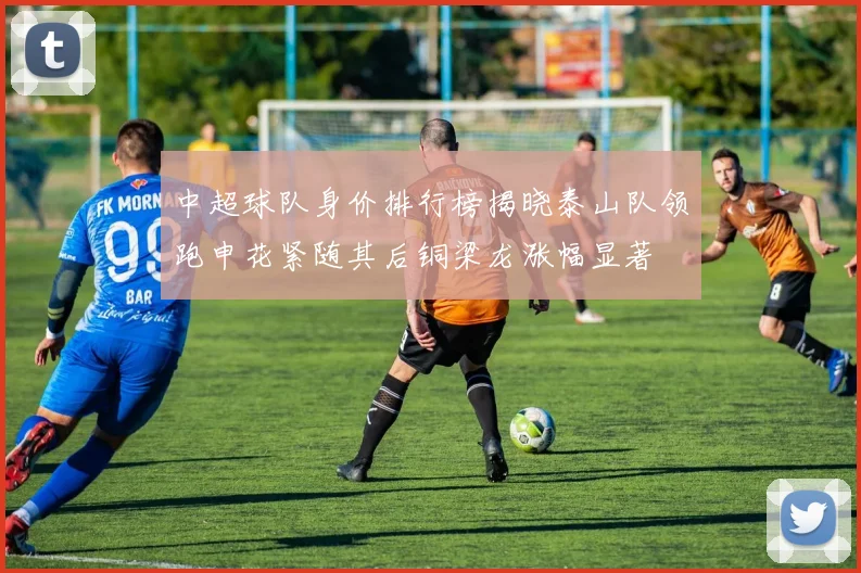 中超球队身价排行榜揭晓泰山队领跑申花紧随其后铜梁龙涨幅显著