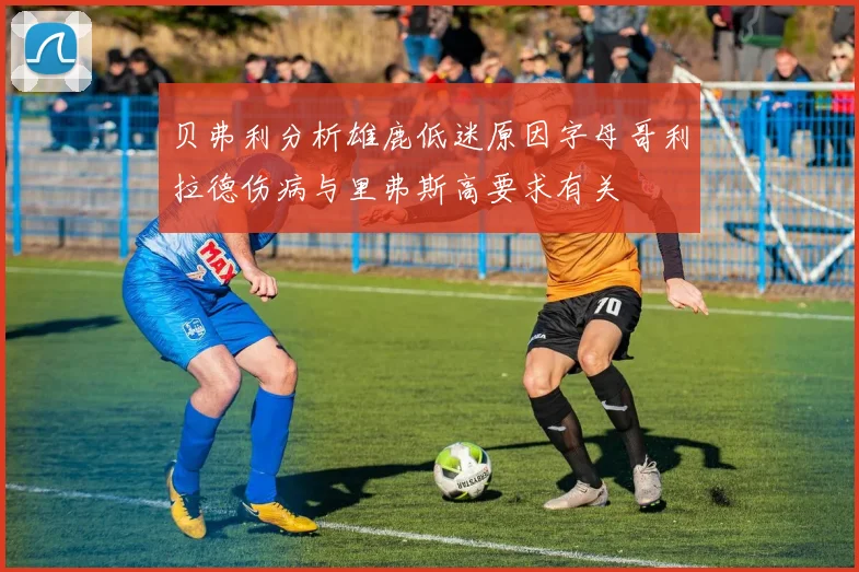 贝弗利分析雄鹿低迷原因字母哥利拉德伤病与里弗斯高要求有关